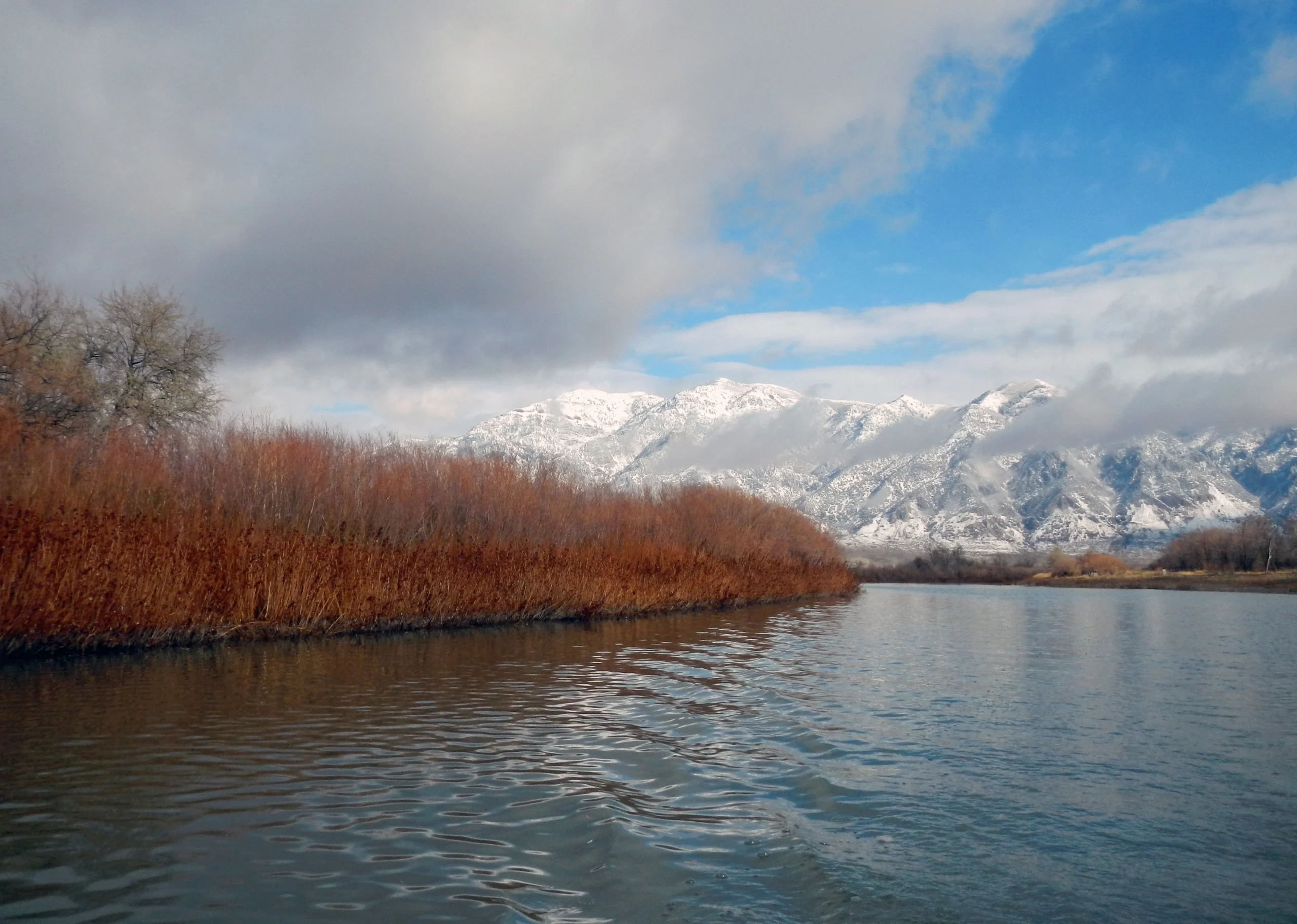 Snowy mountains behind Bear River lined with dense brown brush under cloudy skies.