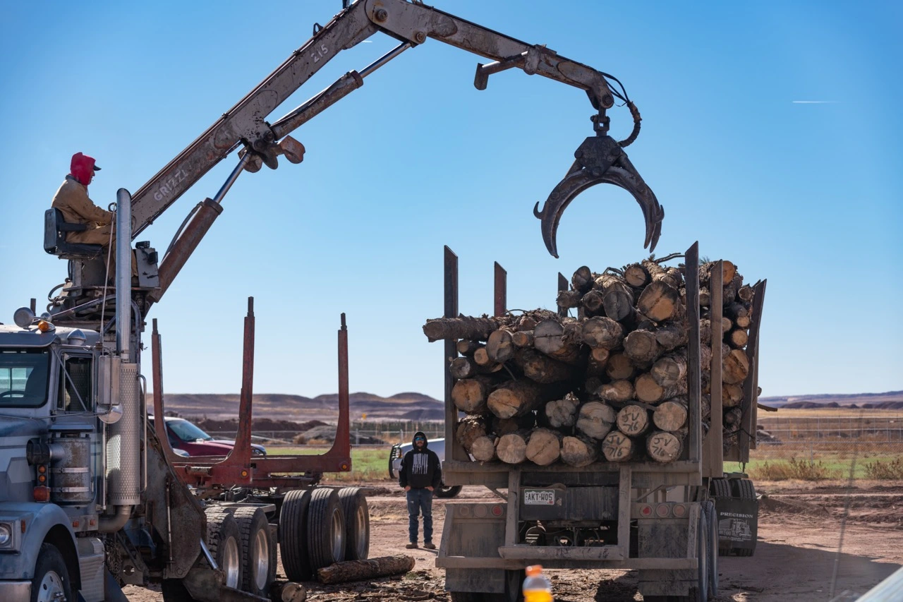 A crane loads logs onto a truck under a clear blue sky, with a person standing nearby.