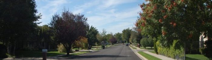 Photo of a tree lined street in a neighborhood