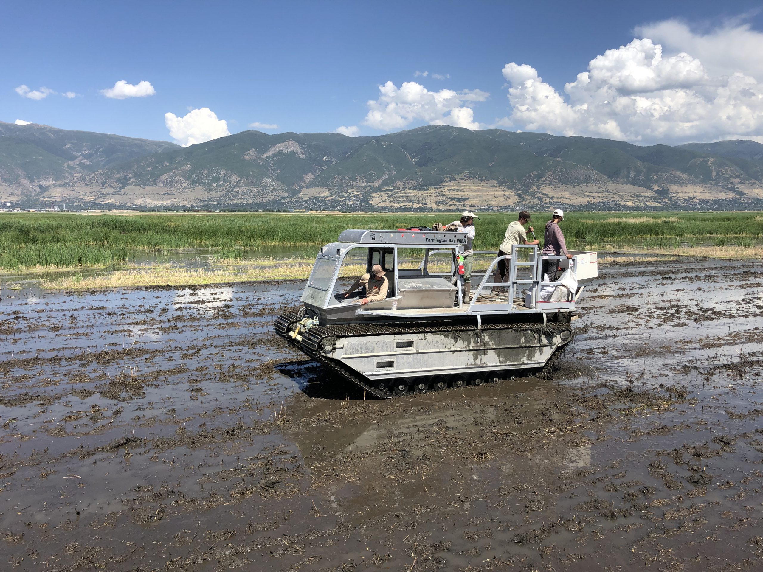Featured image for “<strong>2022 Invasive Phragmites Management Success on Great Salt Lake and Utah Lake</strong>”