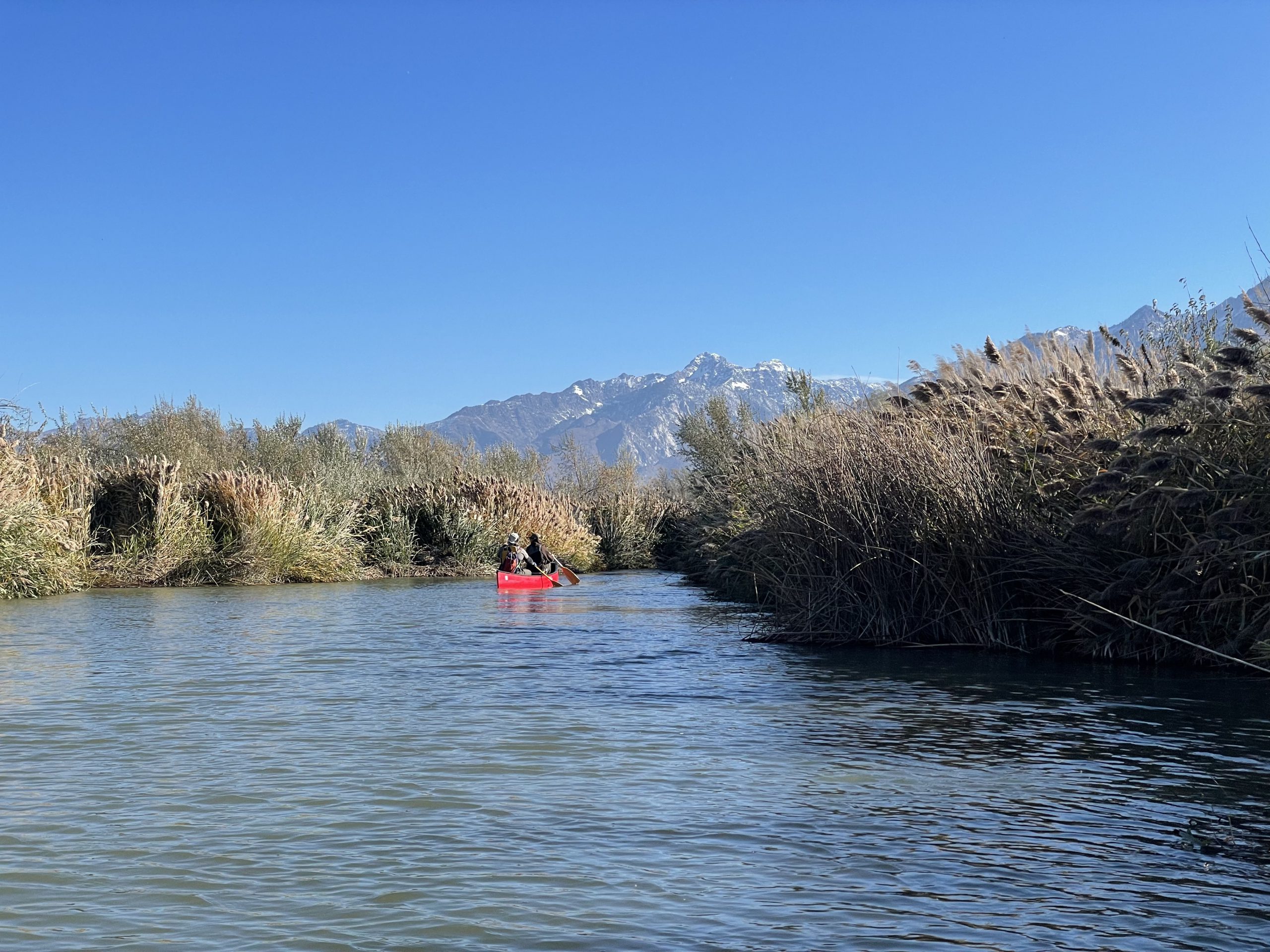 Featured image for “Grant-Funded Initiatives Help Reshape the Jordan River Landscape”