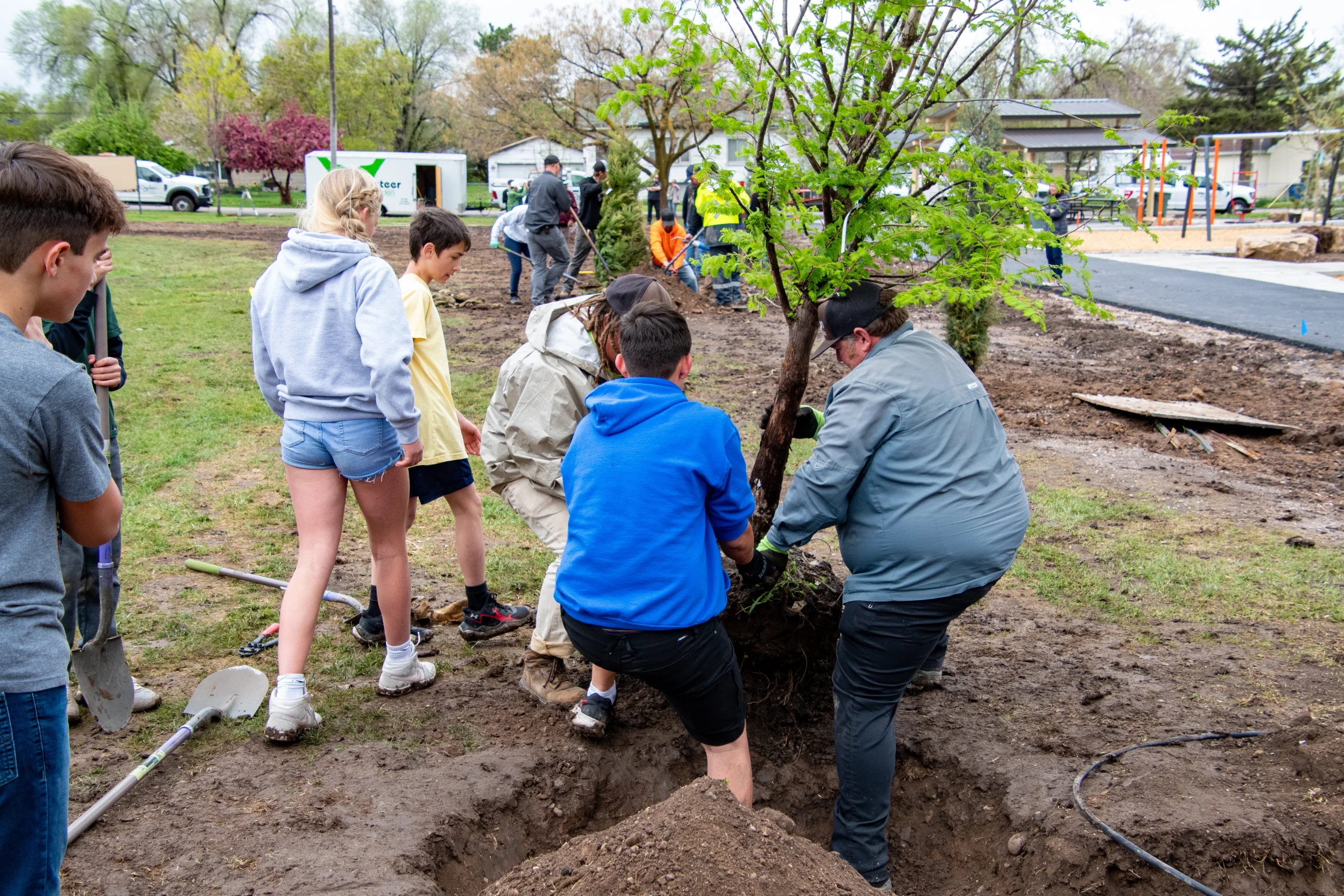 A group of people planting a tree in a large hole in the ground.
