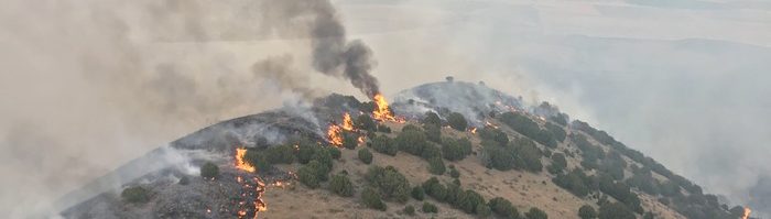 Wildfire burning on a mountain photo