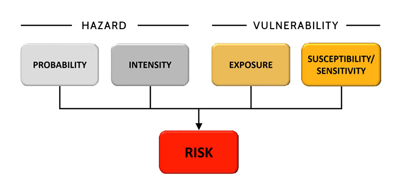 Diagram of risk factors