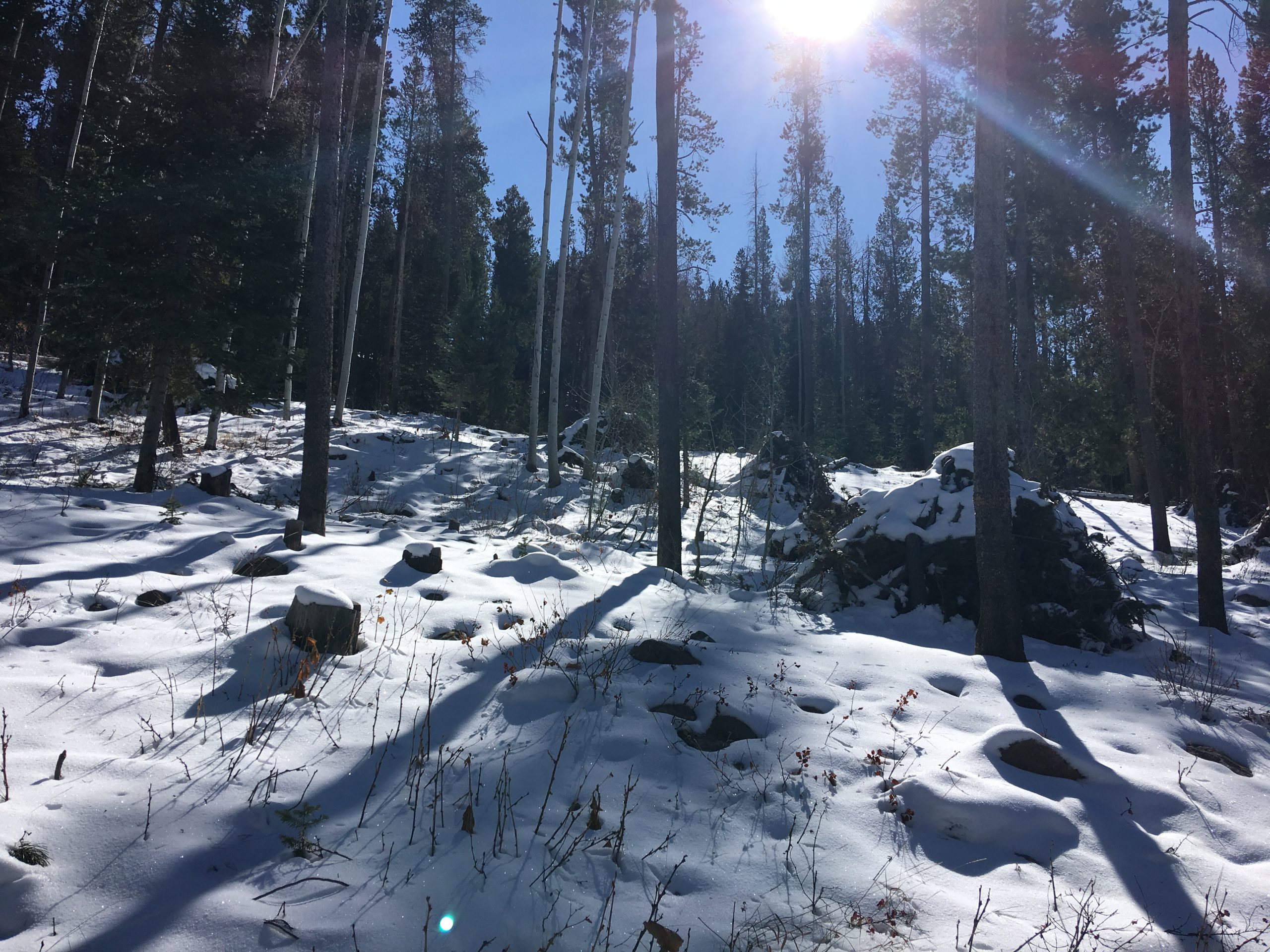 Featured image for “Utah Shared Stewardship partners announce FY23 projects”